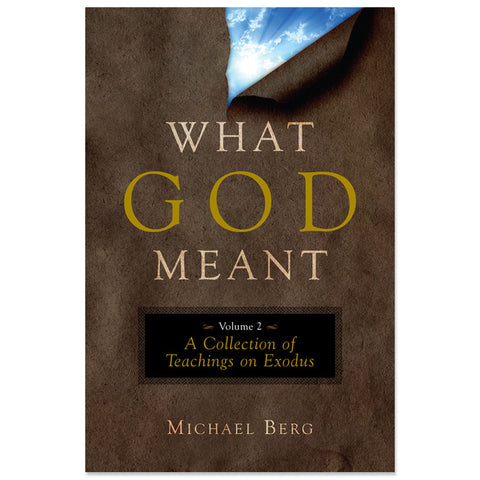 What God Meant, Vol. 2: A Collection of Teachings on Exodus (English, Paperback)
