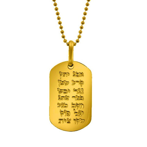 “ANA BEKOACH” GOLD PLATED STAINLESS STEEL DOG TAG NECKLACE